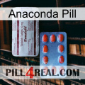 Anaconda Pill 36